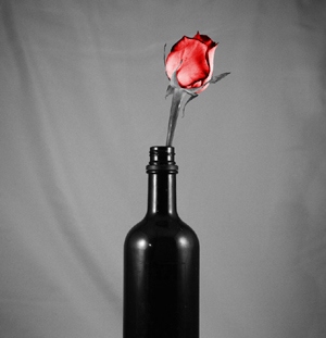 Bottle_And_Flower_BW_by_da_baka