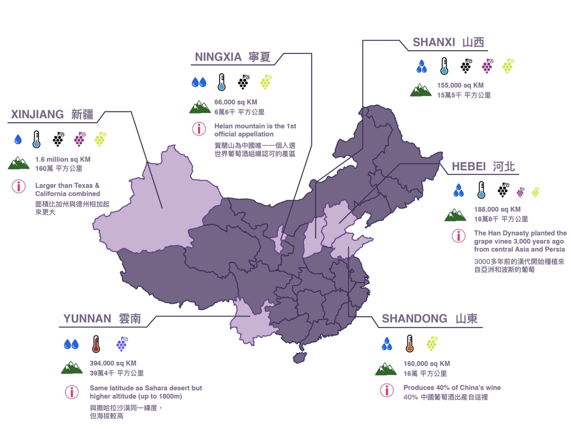 China wine regions