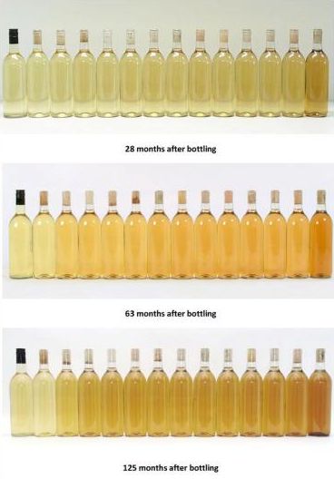 Le differenti tipologie di tappo: sughero, sintetico, vetro, a vite e a  corona - Vino.com Blog