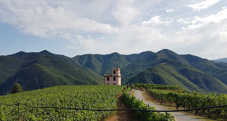 Into the wild, Liguria. Derive enogeografiche con Rocche del Gatto e Deperi (video)