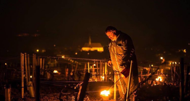 Il meglio della settimana tra new look, gelate notturne e altre Campania Stories