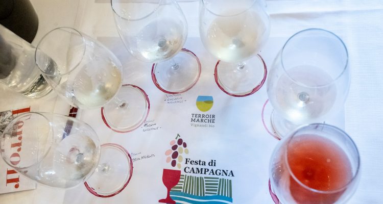 Terroir Marche compie 10 anni. Intervista a uno dei fondatori, Alessandro Fenino di Pievalta