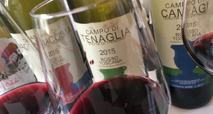 Tenuta di Trinoro, Andrea Franchetti sbanda per il cabernet franc: i tre cru del vitigno del momento