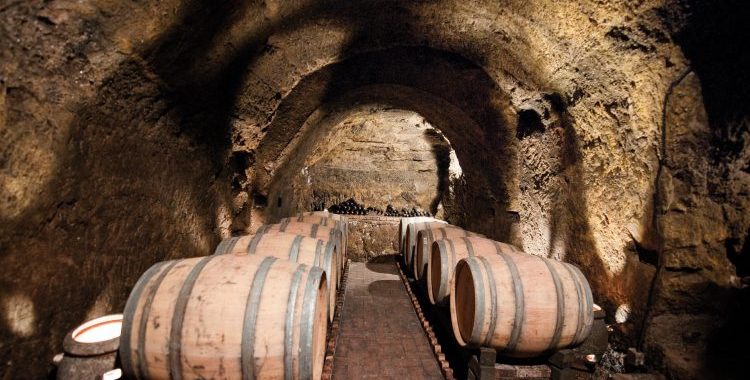 Le Cantine del Notaio e la cantata degli anni dispari