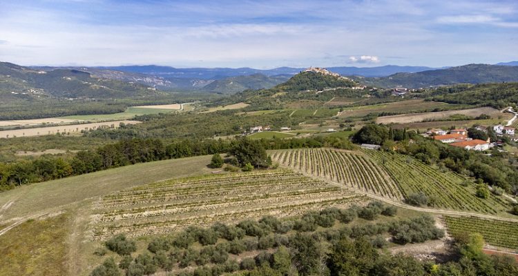 L’Istria del vino in 3 semplici passaggi