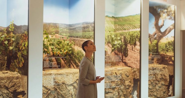 World of Wine | A Porto c’è un museo da cui prendere spunto