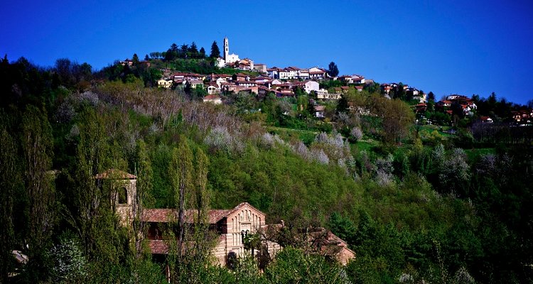 Albugnano, il fascino discreto del nebbiolo alternativo