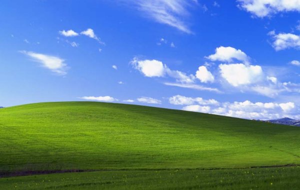 Là dove c’era l’erba ora c’è: un vigneto. Lo sfondo di Windows XP oggi