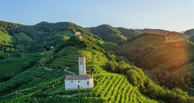 Vinitaly 2018, a proposito di viticoltura eroica