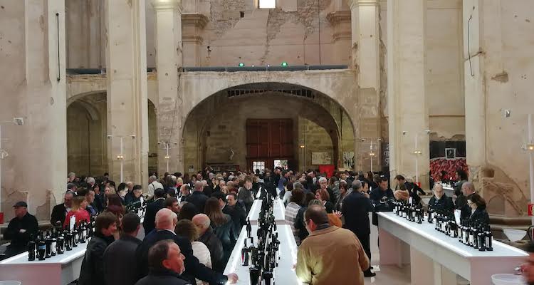 Bordò marchigiani, panoramica completa e vini buonissimi