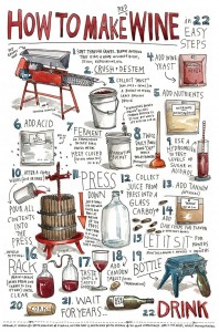 How-to-Make-Wine-in-22-Easy-Steps