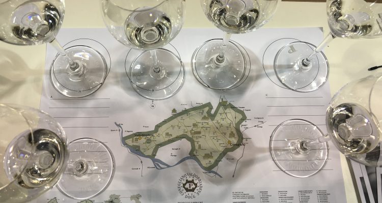 Le Rive del Conegliano Valdobbiadene sono il futuro del Prosecco?