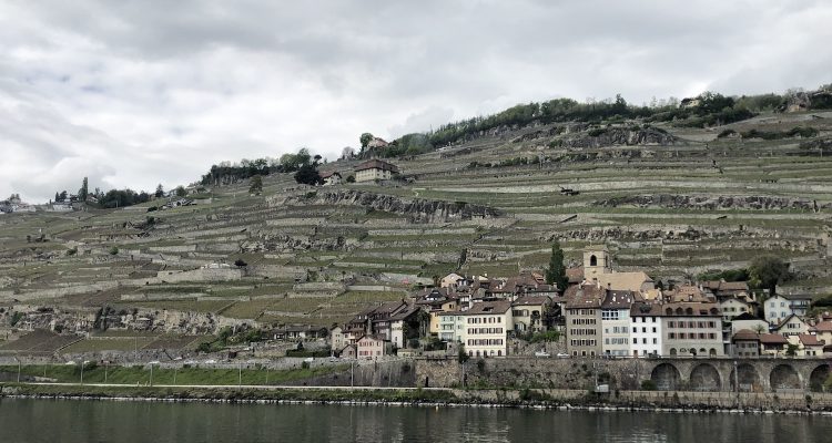 Svizzera, due o tre cose che ho imparato sullo Chasselas