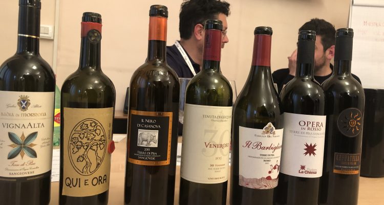 Antonio Boco e il sangiovese nelle Terre di Pisa DOC