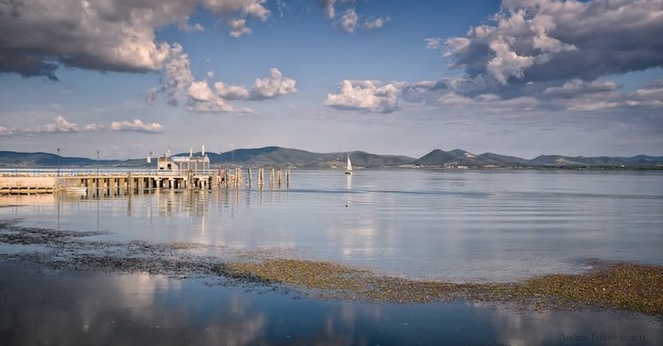 Il Gamay e un’identità possibile per i vini del Trasimeno