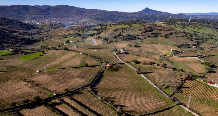 Un’altra buona notizia da Mamoiada: la zonazione