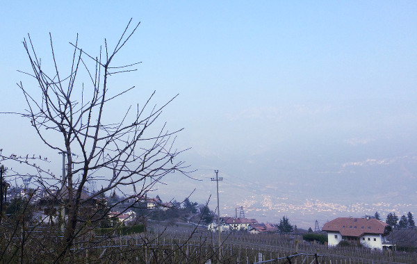 Il Concorso nazionale del Pinot nero a Montagna, il Brettanomyces ed altre storie