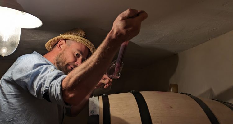 Un Merlot del Ticino buono e moderno esiste, è quello di Adrien Stevens