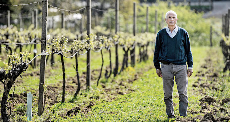 Buonissimo, il Vinho Verde di Quinta da Palmirinha