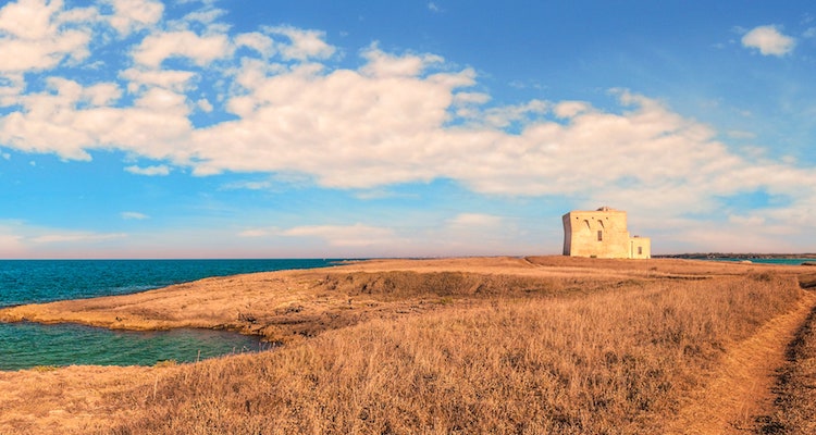 Negroamaro, una panoramica per affrontare al meglio l’estate