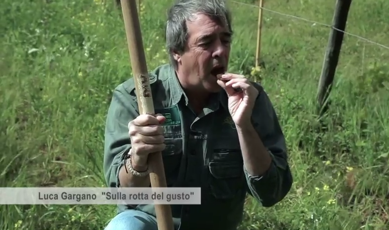 In questo video Luca Gargano mangia la terra biodinamica. E non è mica una battuta