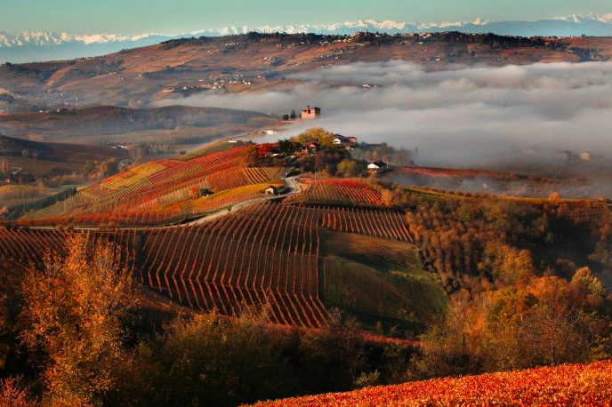 Tre aspetti sostanziali (più uno) per capire la particolarità del successo di Barolo e Barbaresco