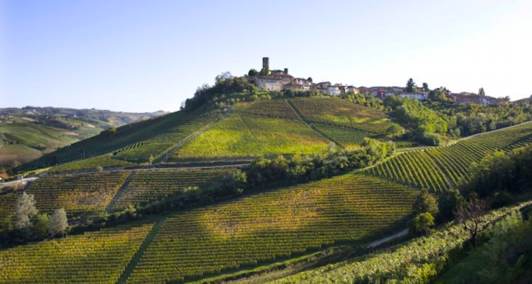 Vietti va in America: una riflessione a caldo sulla Langa di oggi e di domani