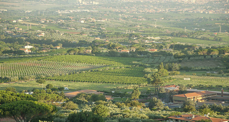 Palcoscenico Frascati, il meglio dei Castelli Romani