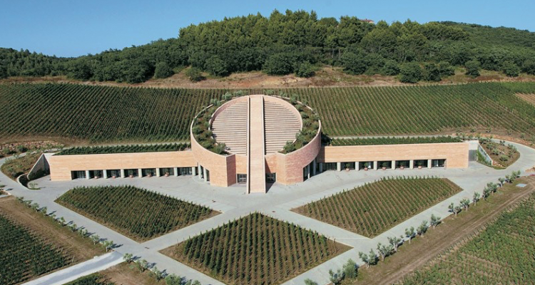 La remise en forme dei vini della cantina Petra