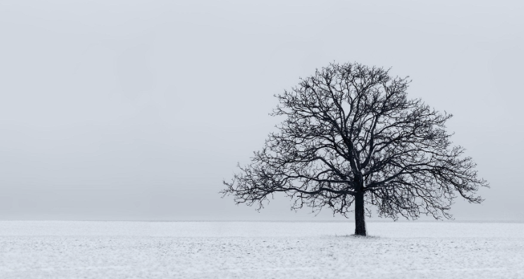 Non esiste una sola neve, non esiste un solo vino