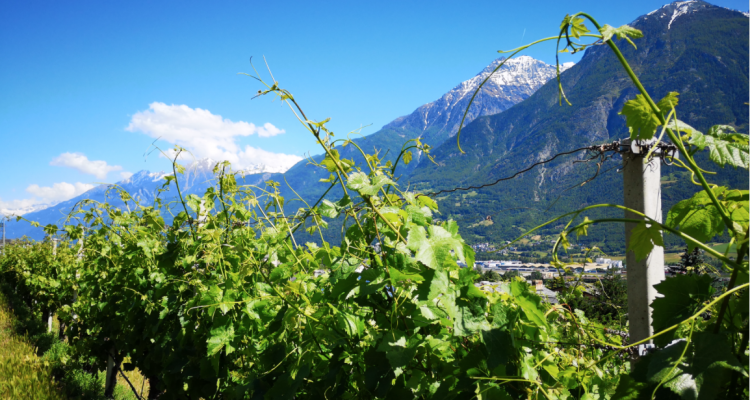 Il mare in Val d’Aosta di Elio Ottin