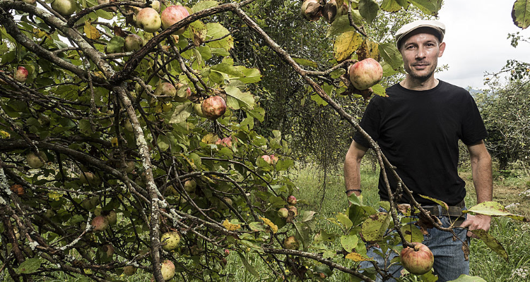 Malus Mama, il sidro di mele che non ti aspetti