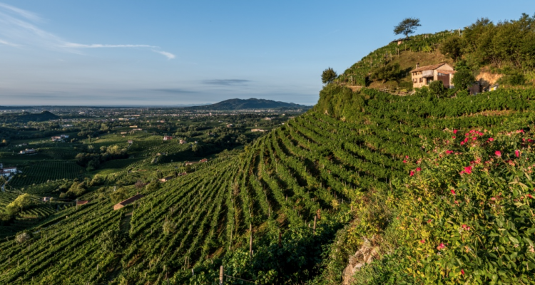 Addio Prosecco, Col Vetoraz ripudia la denominazione