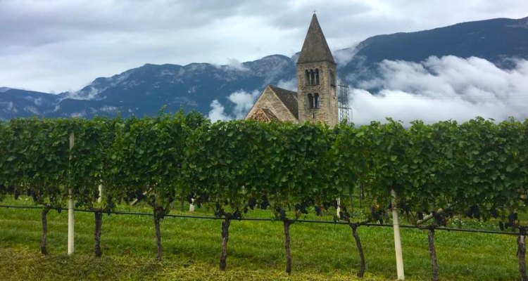 L’Alto Adige Wine Summit spiegato in breve