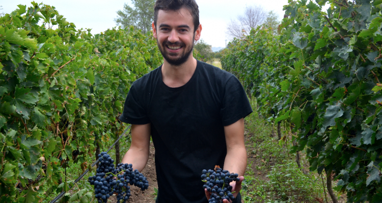 Buona vendemmia a tutti!