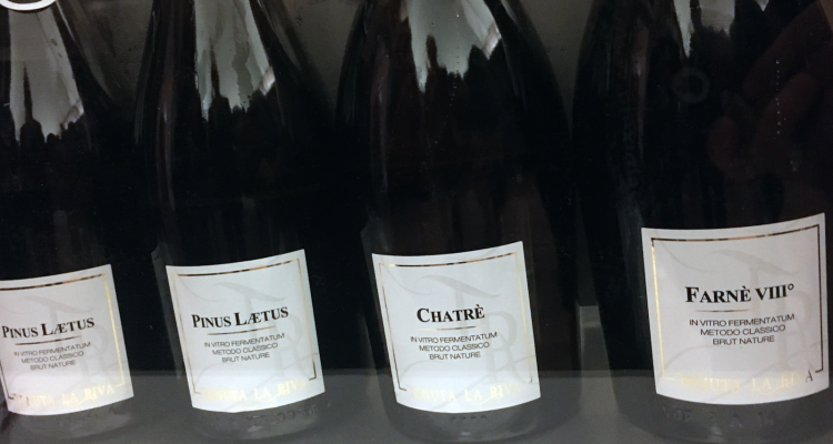 Il vino dei Colli Bolognesi si mette in mostra
