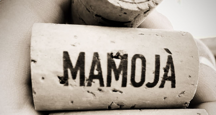 Fidatevi: i vini di Mamojada sono il fenomeno degli ultimi anni