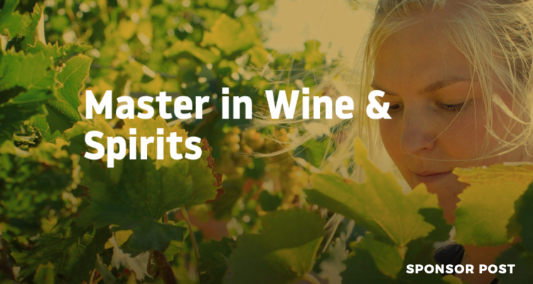 5 motivi per cui il Master in Wine & Spirits all’Università di Scienze Gastronomiche è una figata