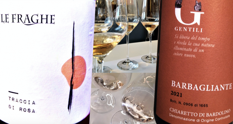 Chiaretto di Bardolino | Anteprima 2023 del vino rosa più importante d’Italia
