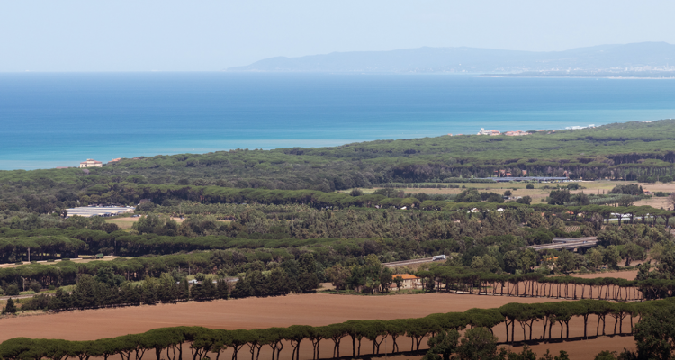 [Lenzuolata] Bolgheri 2021, 43 assaggi di un’annata che promette bene