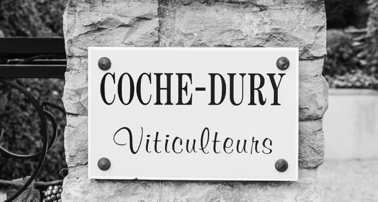 Visite (im)possibili | Sono stato in cantina da Coche-Dury