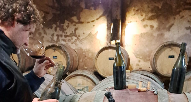 La periferia del vino di Francia in 4 paesaggi
