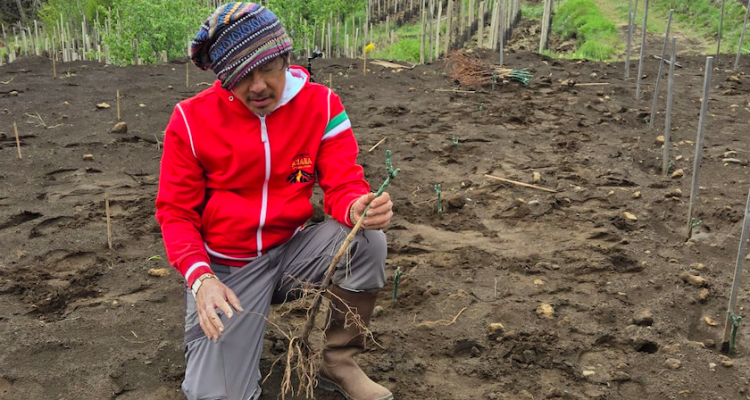 Gli altri ancora | Sebastien Burel (La Ripresa) e Stef Yim (La Sciara) con le loro grenache sull’Etna