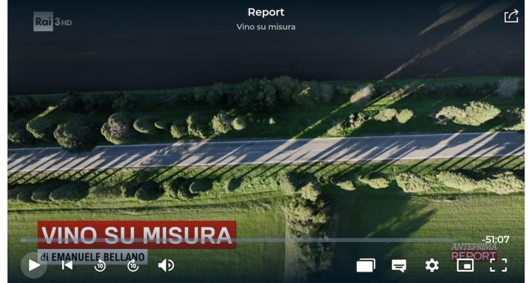 Note rapide post puntata di Report (Tenuta San Guido abbiamo un problema?)