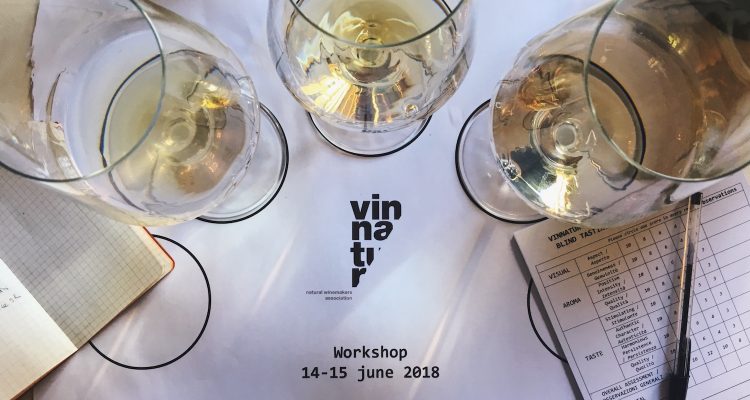 Il workshop di VinNatur sulla qualità dei suoi vini