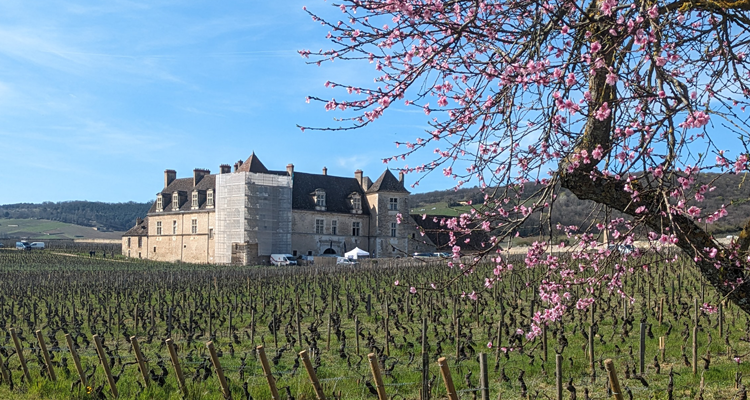 Il luna park dei sogni allo Chateau du Clos de Vougeot (durante i Grands Jours de Bourgogne 2024)