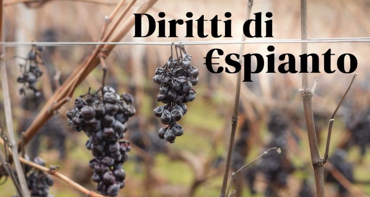 [Focus] 200 milioni di euro per distruggere vino. Dalla Francia arriva un allarme per tutti