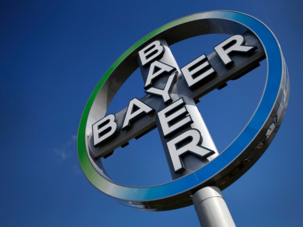 L’annata no dell’industria tedesca: danni ai vigneti per colpa del fungicida Bayer
