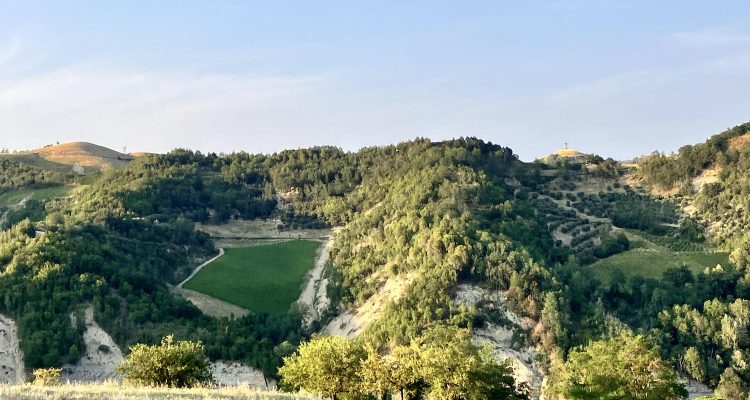 Report | Romagna Sangiovese Modigliana 2021, dov’è l’annata?