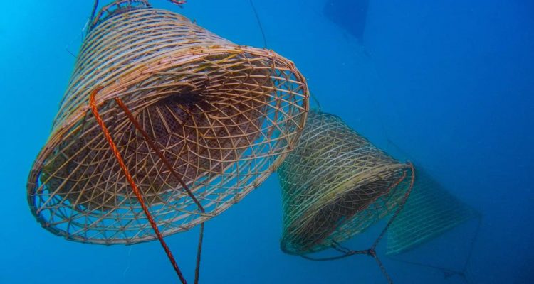 Nesos, l’uva macerata in fondo al Mediterraneo